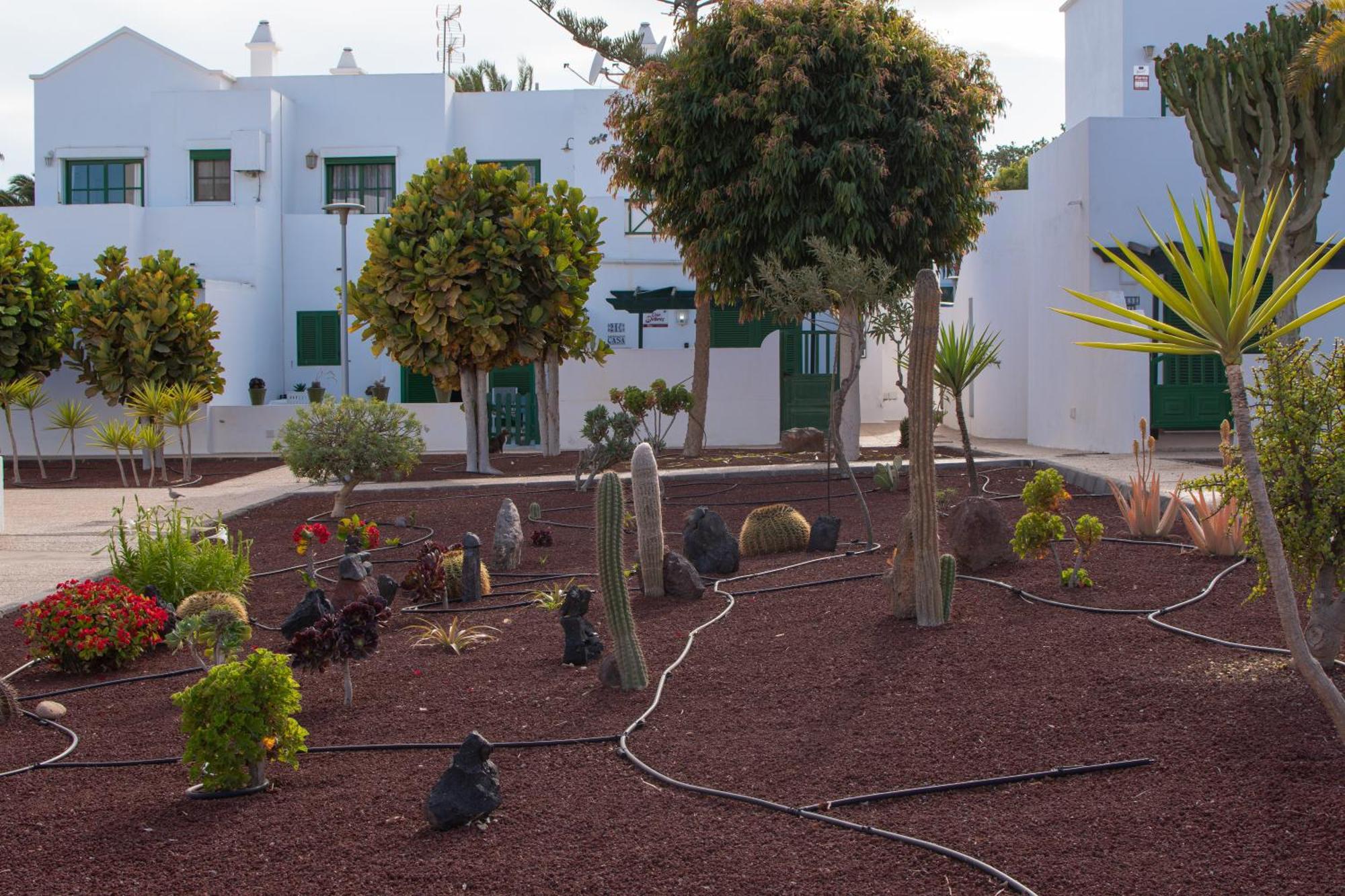Casa Paz - Cozy 2 Bedroom Apartment Close To Dorada Beach Playa Blanca  Exterior photo